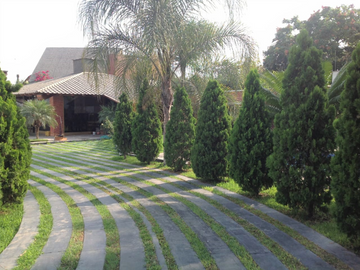 CASA COMO TERRENO EUCALIPTOS CON LOS ALAMOS COD. 22696