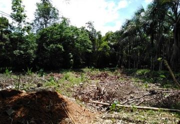 8596 m2 in Tarapoto (SAN1029)