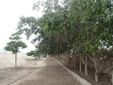 Terreno en Cieneguilla en Condominio