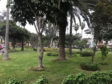 CASA EN LOS OLIVOS 169 SURCO COD. 23562