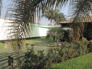 CASA COMO TERRENO EUCALIPTOS CON LOS ALAMOS COD. 22696