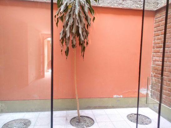 gallery_secondary