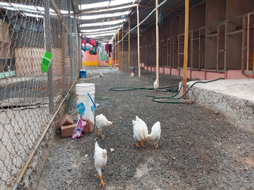 TERRENO 30,000 M2