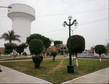 VENTA LOCAL COMECIAL BELLAVISTA