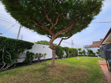 VENTA CASA EN LOS CEDROS DE VILLA ETAPA I