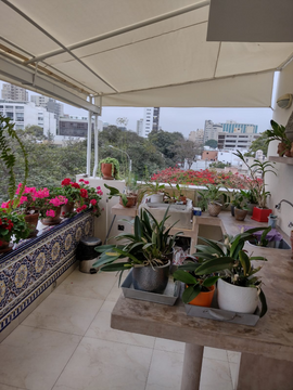 DEPARTAMENTO ILUMINADO Y CÓMODO -SAN ISIDRO