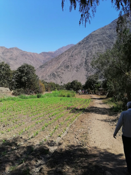 TERRENO LUNAHUANA  3,123 M2