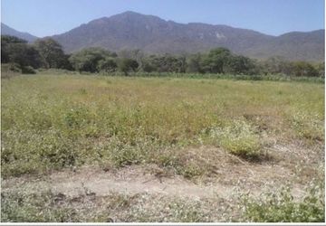 2 LARGE LOTS IN PIURA : 1100  & 948 HECTARES (Terrenos Grandes en Chulucanas en Venta)(PIU1238)