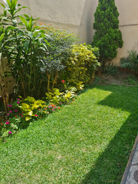 CASA EN VENTA SAN BORJA