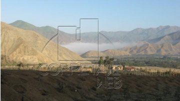 EXCELENTE TERRENO DE CAMPO EN COAYLLO - 018984