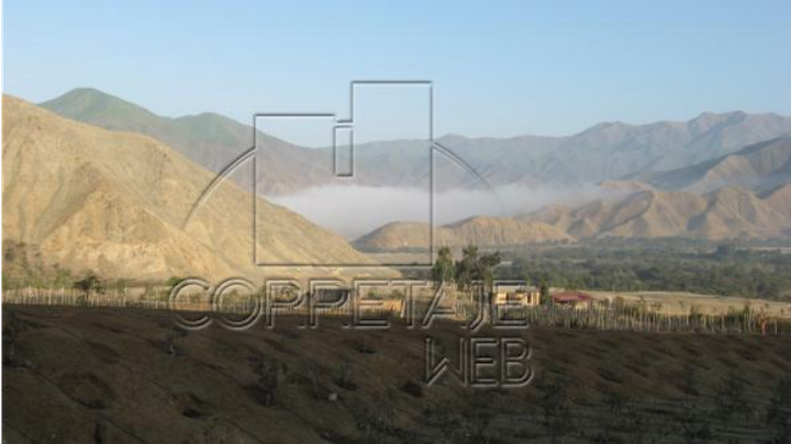 gallery_secondary