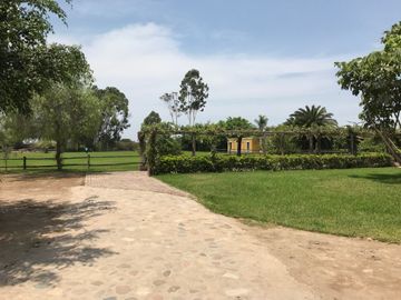 VENTA TERRENO COMERCIAL PACHACAMAC