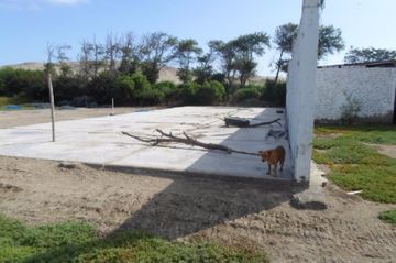 VENTA TERRENO RUSTICO EN NUEVO CHIMBOTE (609-258-21 LUCY)  