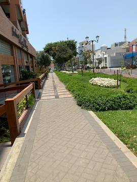   EXCELENTE OFICINA O LOCAL COMERCIAL, 260 M². PARA EMPRESAS Y OTROS EN EDIFICIO MODERNO CLÁSICO POR EL OLIVAR