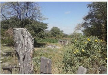 2 LARGE LOTS IN PIURA : 1100  & 948 HECTARES (Terrenos Grandes en Chulucanas en Venta)(PIU1238)