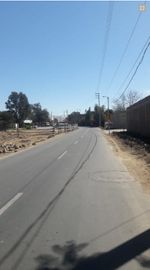 20,000 Sq Mtr (m2) in Ica (Ruta del Pisco) (ICA1101)