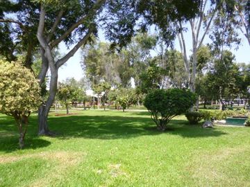 VENTA DEPARTAMENTO EN  EN SURCO - DPT 402 (609-317-57 LUCY)  