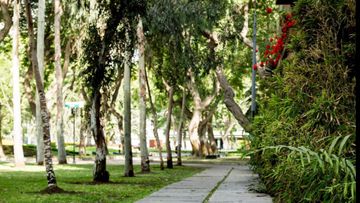 DEPARTAMENTO EN VENTA EN SAN ISIDRO