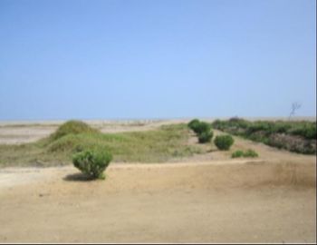 TERRENO EN VENTA EN SAN VICENTE DE CAÑETE - COSTA DEL CAMPO