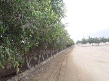 Terreno en Cieneguilla en Condominio