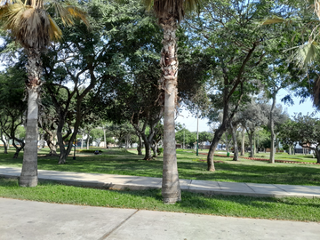 DEPARTAMENTO DE ESTRENO FTE. A PARQUE EN LAS GARDENIAS-SURCO