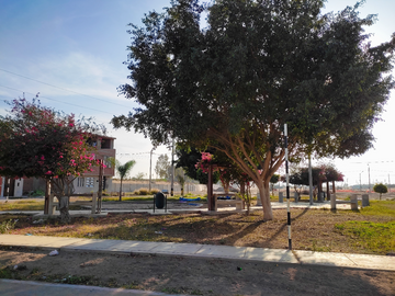 SE VENDE LOTE EN URB. LA FLORIDA DE ICA. SUBTANJALLA. ICA. 
