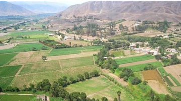 RESIDENCIA CAMPESTRE EN PACHACAMAC - 022993