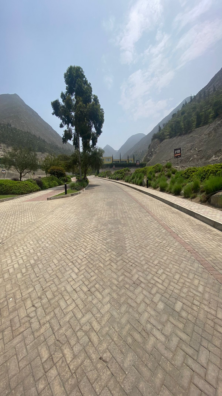 gallery_secondary