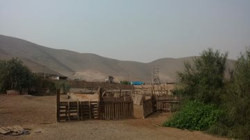 Venta de Terreno industrial en Ventanilla