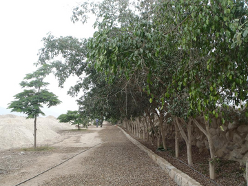 Terreno en Cieneguilla en Condominio