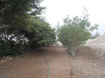 Terreno en Cieneguilla en Condominio