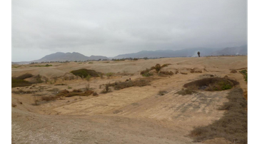 EXCELENTE TERRENO DE 3 HECTAREAS EN CHILCA - 021770