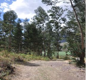 Terreno ideal para casa de campo o para hotel