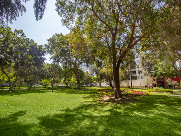 EXCELENTE TERRENO CON PARÁMETROS PARA 12 PISOS 