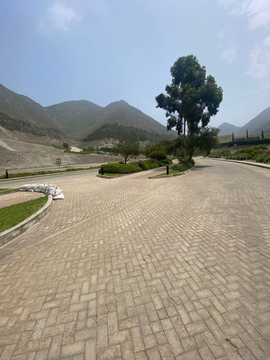 TERRENO VENTA CIENEGUILLA