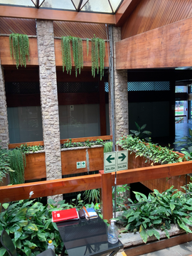   EXCELENTE OFICINA O LOCAL COMERCIAL, 260 M². PARA EMPRESAS Y OTROS EN EDIFICIO MODERNO CLÁSICO POR EL OLIVAR