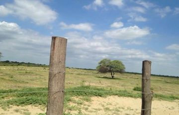 VENTA TERRENO SULLANA PIURA