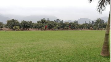 RESIDENCIA CAMPESTRE EN PACHACAMAC - 022993