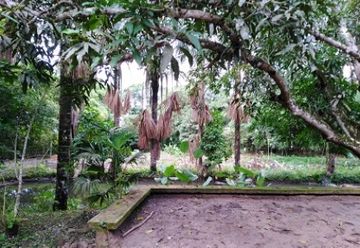 8596 m2 in Tarapoto (SAN1029)