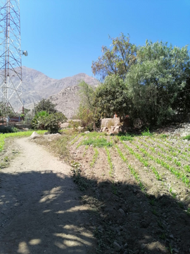 TERRENO LUNAHUANA  3,123 M2
