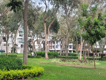 VENTA DEPARTAMENTO SAN BORJA-DPTO. SS02 (609-957-9)