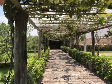 VENTA TERRENO COMERCIAL PACHACAMAC