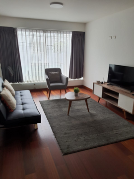 VENDO CENTRICO DEPARTAMENTO EN MIRAFLORES