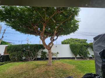 VENTA CASA EN LOS CEDROS DE VILLA ETAPA I