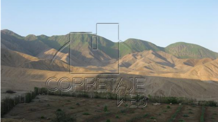 gallery_secondary