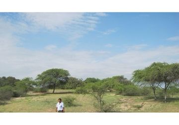 Venta de Terreno industrial en Piura