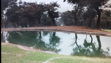 OCASION POR VIAJE VENDO TERRENO HUAMPANI PARA CASA DE CAMPO