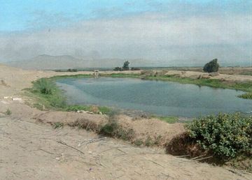 LAND OF 175 HECTARES IN HUAURA, LIMA (Terreno de 175 has en Playa Chica, Huaura) (LIM1466)