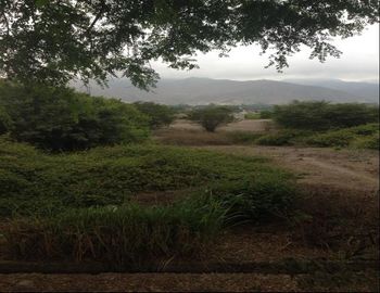 TERRENO EN VENTA EN PACHACAMAC - FRENANDO REUCH