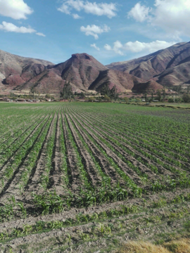 TERRENO EN VENTA EN CUSCO - PARA INVERSION